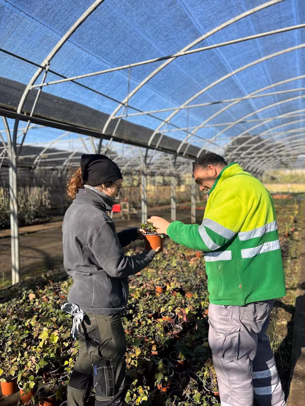 Dos membres de l'equip col·laborant al viver