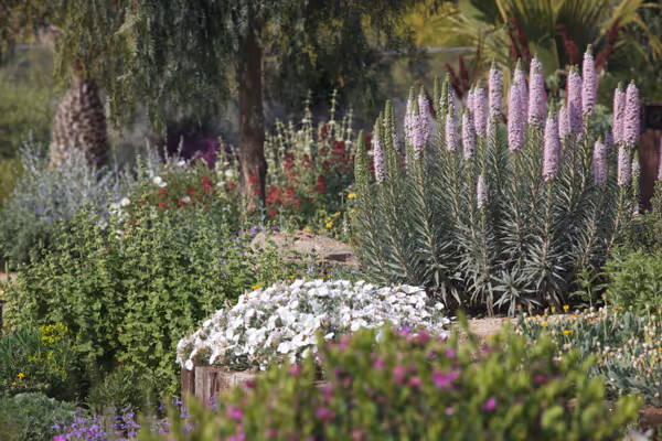 Ambient del jardí de demostració