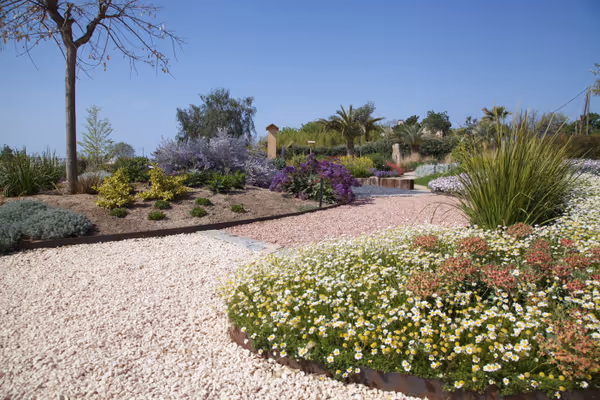 Espècies mediterrànies al jardí