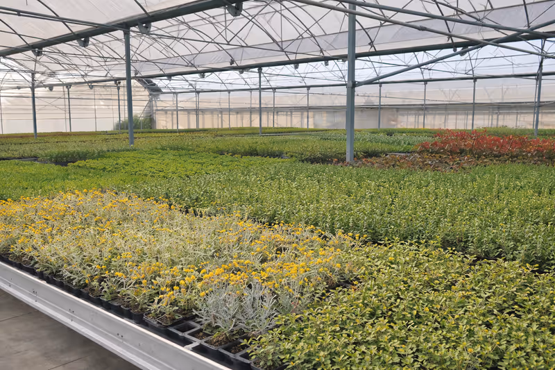 Catàleg General 2024